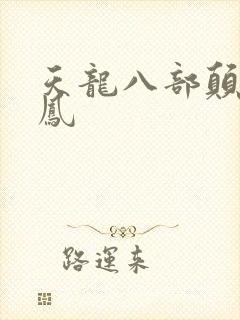 天龙八部颠龙鸾凤