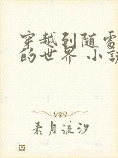 穿越到随处做 的世界 小说