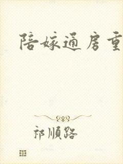 陪嫁通房重生记