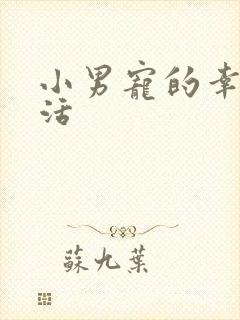 小男宠的幸福生活