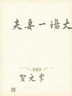 夫妻一场大结局