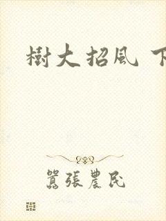 树大招风 下载