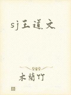 sj王道文