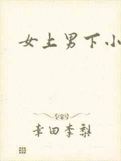 女上男下小说