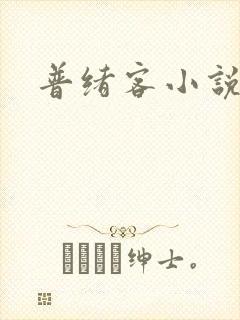 普绪客小说