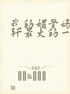 我的媚骨妈妈林轩最火的一句