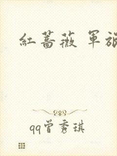 红蔷薇 军旅文