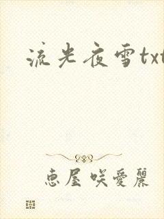 流光夜雪txt