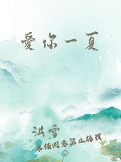 爱你一夏