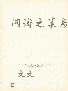 网游之菜鸟高手