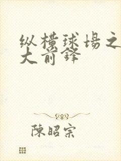 纵横球场之暴力大前锋