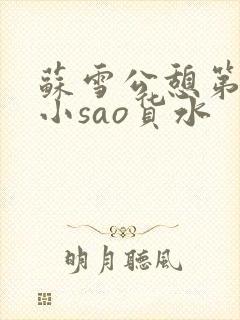 苏雪公憩第一章小sao货水