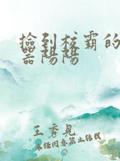 捡到校霸的遥控器阳阳