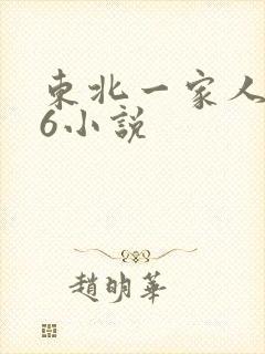 东北一家人1一6小说