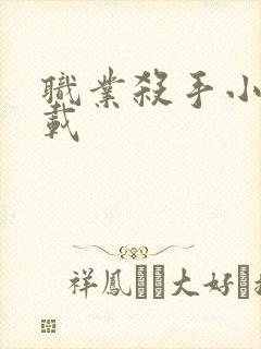 职业杀手小说下载