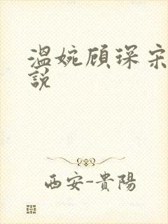 温婉顾琛宋芝小说