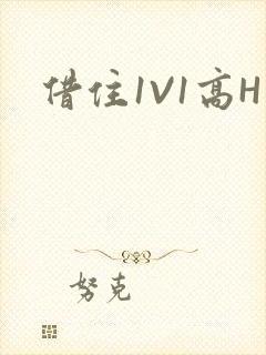 借住1V1高H