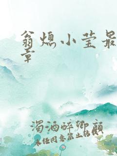 翁熄小莹最新节章