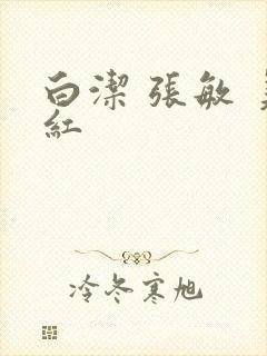 白洁 张敏 美红