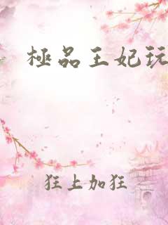 极品王妃玩古代