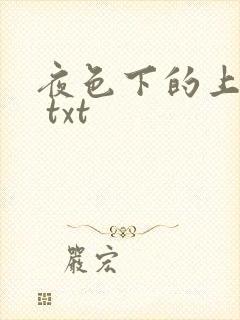 夜色下的上海滩 txt