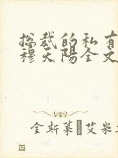 总裁的私有宝贝穆天阳全文阅读