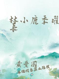 林小鹿季曜珉机长