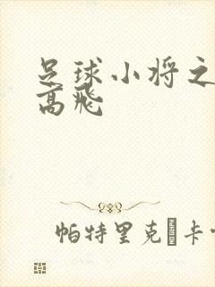 足球小将之展翅高飞