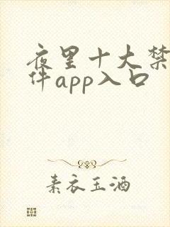 夜里十大禁用软件app入口