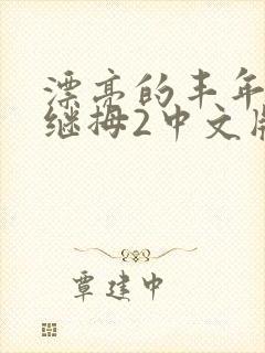 漂亮的丰年经的继拇2中文版