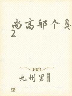 尚高那个臭小子2