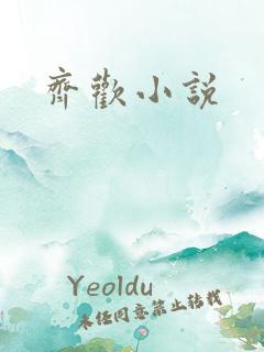 齐欢小说