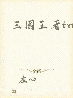 三国王者txt
