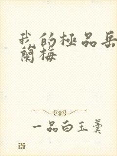 我的极品岳坶赵兰梅