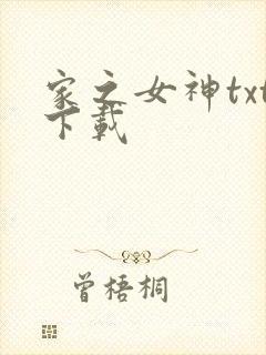 家之女神txt下载