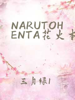 NARUTOHENTA花火本子