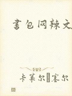 书包网辣文