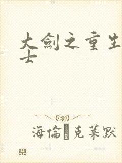 大剑之重生圣骑士