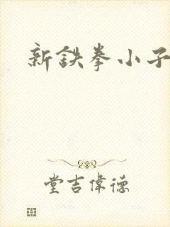 新铁拳小子