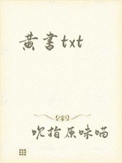 黄书txt