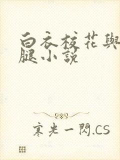 白衣校花与大长腿小说