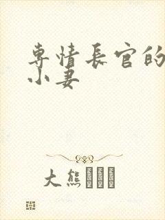 专情长官的天价小妻