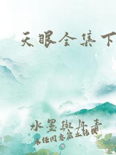 天眼全集下载