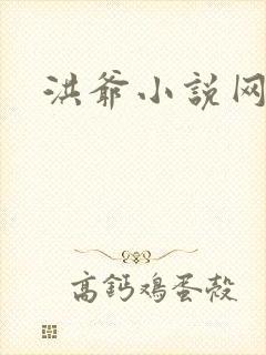 洪爷小说网