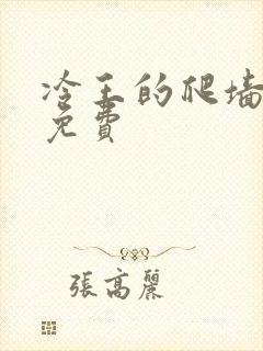 冷王的爬墙丑妃免费