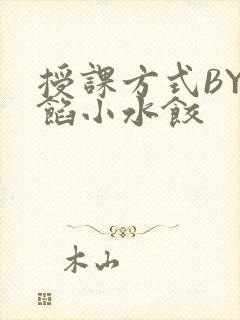 授课方式BY肉馅小水饺