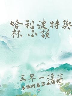 哈利波特与火焰杯 小说