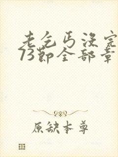 老乞丐没完没了73节全部章节内容