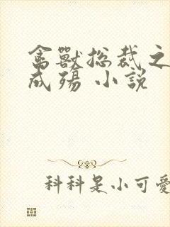 禽兽总裁之虐爱成殇 小说