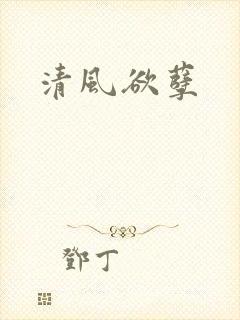 清风欲孽